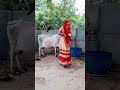 Bahu Chaudhari new dance video village girl dance Varsha 💃Varsha Bulbul family vlogs gir blogs