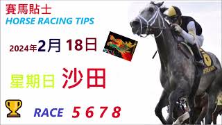 「賽馬貼士」🐴  2023 年 2 月 18 日 沙田🐴    香港賽馬貼士  HONG KONG HORSE RACING TIPS  🐴 RACE  5  6  7  8