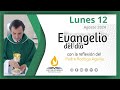 Evangelio de hoy l 12 de agosto de 2024 l XIX Lunes durante el año l San Mateo 17, 22-27