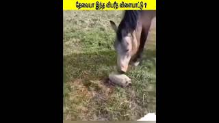 இறுதி வரை பாருங்க😱 |தேவையா இந்த விபரீத விளையாட்டு ? | #shorts #shortsfeed #viral #tamil  #trending