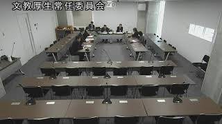 令和6(2024)年2月19日　文教厚生常任委員会②（討論・採決）