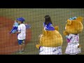 ディアーナ／不安そうなboyに寄り添うayumi あゆみ さん／2017.9.27　横浜denaベイスターズ×阪神タイガース　うそにゃん　横浜スタジアム