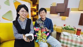 散步新竹品美食－郭又甄Ｘ曾祥紘｜芹報布告欄｜2024《福氣來了》EP18