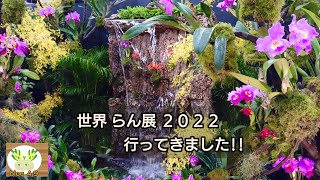 【やっぱり行きたい✨】世界らん展 ２０２２🌱