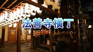 【大阪・ミナミ】夜のパワースポット【法善寺横丁】