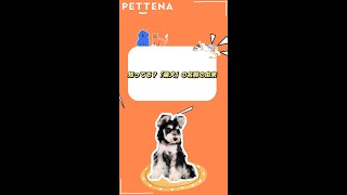 #PETTEKNOW 第33回登場❗️#PETTENA #ペテナ #PETTEKNOW #犬のいる暮らし #PETTENAペットとのアウトドア