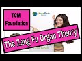 The Zang Fu Organ Theory