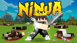 How I Became the NINJA in This Minecraft SMP!