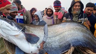 বিশাল সাইজের বোয়াল মাছ সস্তায়ও বিক্রি হচ্ছে না দেখুন  | biggest fish market | DN Eyes | big fish