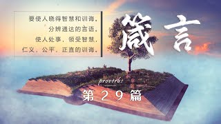 视听圣经 | 箴言 第29篇（动态音波+背景音乐）