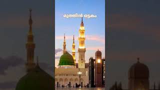 ആയിരം കൊള്ളകൾ നബിയേ സ്നേഹിച്ചാലും...... 🤲😢 #salleallahualaihiwassallam