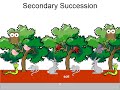Primary vs. Secondary Ecological Succession