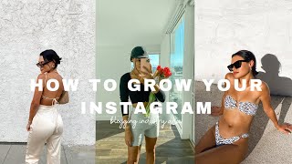 HOW TO GROW YOUR INSTAGRAM | Industry Q&A