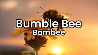 Bumble Bee- Bambee | Lyrics