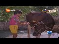 Naan Petradutha Pillai Simbu Gomatha songs TR hits