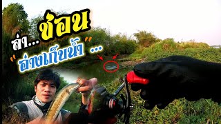 ตะลุย!! ตกปลาช่อน |อ่างเก็บน้ำห้วยสะพาน| ลุยโคลนเข้าหมายโครตสุด? (EP.5)