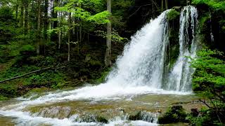 Calming Medium Forest Waterfall \u0026 River. Gentle Waterfall, Nature Sounds. White Noise for Sleeping.