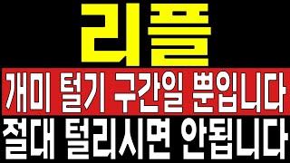 [리플 코인 전망]개미 털기 구간일 뿐입니다. 절대 털리시면 안 됩니다.