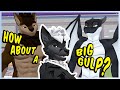 Furries Out of Context 17 - The Tops are Knot Enough