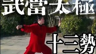 祖师张三丰所创，养生太极拳鼻祖：武当太极十三势（拳谱字幕） #一见爱上传统文化 #道家养生 #太极拳教学 #传统武术 #全民健身