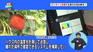 オンライン支援で企業のお悩み解決！【前進！やまなし】2021年2月8日放送