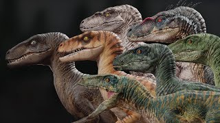 The Evolution of The Velociraptor (Jurassic Park - Jurassic World)