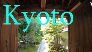 京都市の花園地域を散策　Walking Tour in Hanazono District, Kyoto, Japan