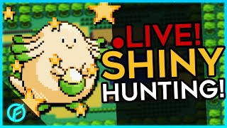 ✨8x Safari Saturday Chansey Shiny Hunt!✨ |⚡!ROGUE⚡|🌟!SHINYDEX🌟|🔴!2024Comp🔴|🟣!TWITCH🟣|