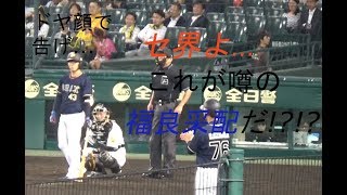 【ドヤ顔で告げ...】[2018.06.21 阪神×オリックス ９回表]オリックス福良監督、中継ぎ投手の山本投手に代打を送らず、そのまま打席へ