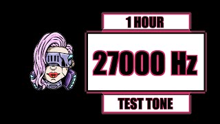 27000 Hz Test Tone for 1 hour