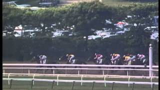 A.P. Indy - 1992 Belmont Stakes (G1)