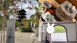 【京都VLOG】母娘旅！龍安寺・仁和寺・銀閣寺と周辺カフェ巡り🍵