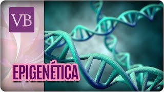 Epigenética: O Que a Genética Determina? - Você Bonita (20/09/17)