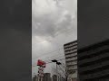 2023年4月28日ウｪザーニュース、ウエザーリポート札幌市中央区の天気は雨で7度したっけキューwキュン♥♥ ウエザーリポート、 ウェザーニュース、 ショート、