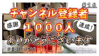 #16/70代《登録者様1000人達成》ありがとうございます/シニア