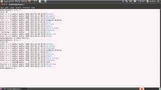 Shell Scripting Tutorial 10 Change File Permissions Using 'chmod'