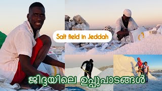 ജിദ്ദയിലെ ഉപ്പുപാടങ്ങൾ salt fields in Saudi Arabia #History of salt#Соляное поле в Саудовской Аравии