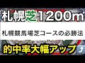 ブリーダーズゴールドジュニアカップ血統予想〜全頭診断　2歳重賞の長丁場は血統がいきる〜