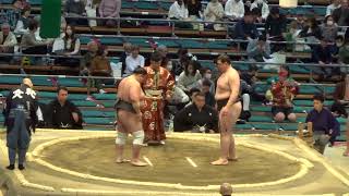 紫雷 vs 獅司【大相撲 令和5年 3月場所】中日  2023/3/19 SHIEDN  vs SHISHI  [Grand Sumo] 現地観戦 大阪場所