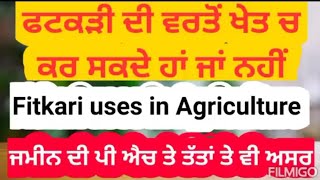 ਫਟਕੜੀ ਦੀ ਝੋਨਾ ਤੇ ਹੋਰ ਫਸਲਾਂ ਲਈ ਵਰਤੋਂ ਕਰਨ ਦਾ ਸਹੀ ਤਰੀਕਾ ਅਤੇ ਸਮਾਂ | Alum Fitkari uses in Agriculture