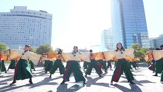 東京学生“生っ粋” 　第23回ドリーム夜さ来い祭り 2024年11月3日　石と光の広場会場