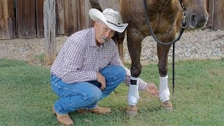 Iconoclast Support Boot vs Splint Boots