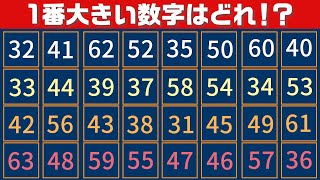 【集中力テスト】一番大きい数字探し【観察力を鍛えよう】