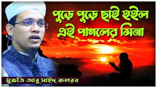 Pure Pure Chai | পুড়ে পুড়ে ছাই হইল এই পাগলের সিনা | Mufti Abu Sayed Kolorob | মুফতি আবু সাঈদ কলরব