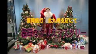 福岡銀行 豪華なクリスマスツリー