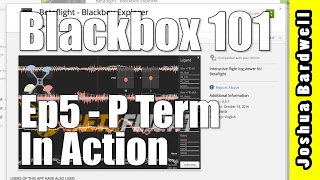 BLACKBOX 101 | Ep5 - The P Term In Action
