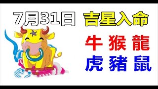 7月31日生肖運勢_牛、猴、龍大吉 - 十二生肖