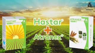 How to Use ADAMA’s Hastar?