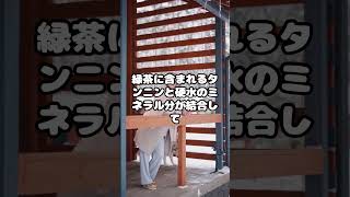 なぜ日本の緑茶はおいしいのか？ #shorts #short #サイエンス #科学 #雑学 #勉強 #理科 #ちょぼ先生 #先生 #緑茶  #茶