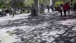Bassist in Washington Square Park